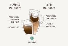 Caffè o palme? Scegliete voi