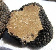 Quel profumo di tartufo
